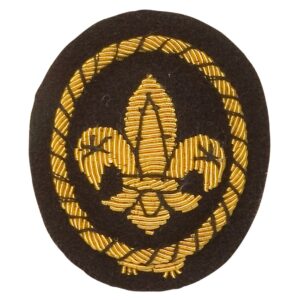 Sea Scouts cap badge (gold wire)