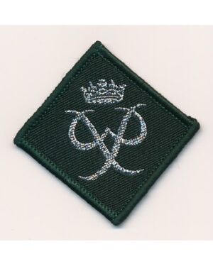 DofE Silver Award