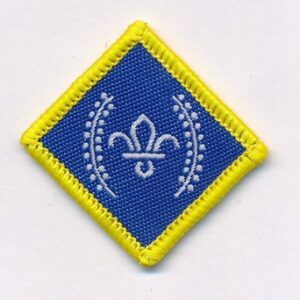 Chief Scout's Platinum Award