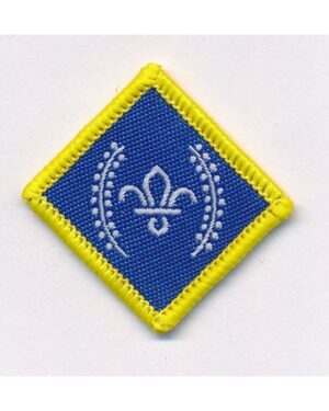 Chief Scout's Platinum Award