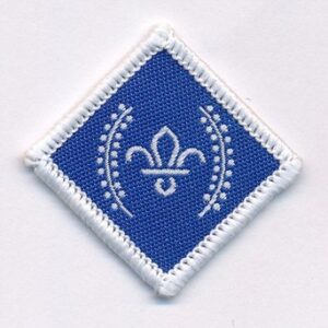 Chief Scout's Diamond Award