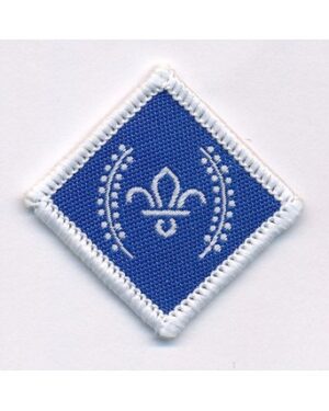 Chief Scout's Diamond Award