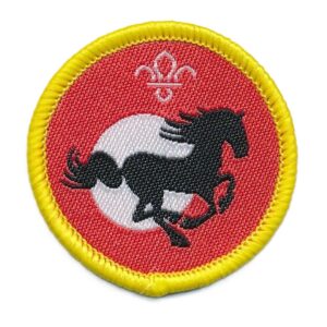 Equestrian - Cubs activity badge