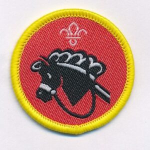 Hobbies - Cubs activity badge