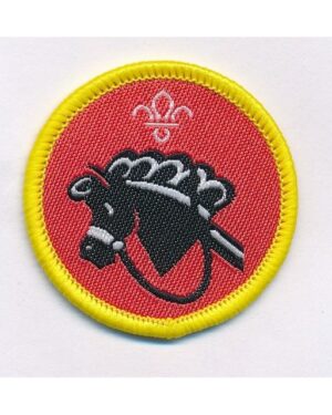 Hobbies - Cubs activity badge