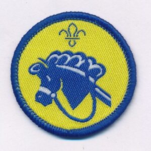 Hobbies - Beavers activity badge