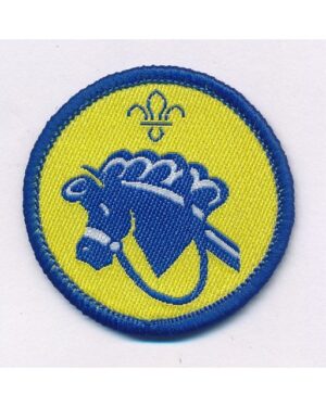 Hobbies - Beavers activity badge