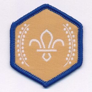 Chief Scout's Bronze Award