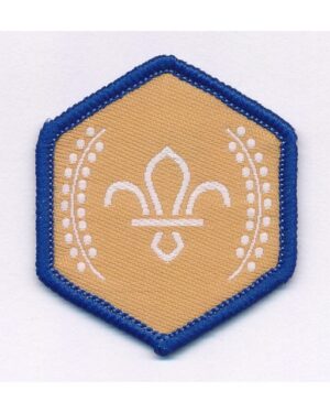 Chief Scout's Bronze Award