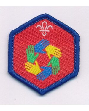 My Teamwork - Beavers challenge award