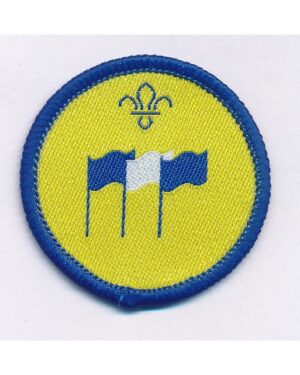 International - Beavers activity badge