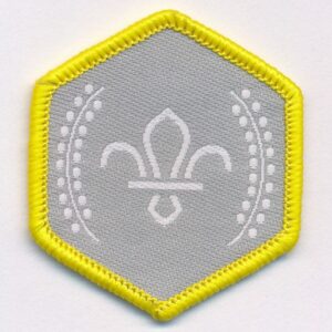 Chief Scout's Silver Award