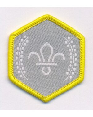Chief Scout's Silver Award