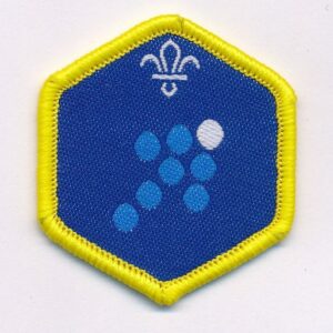 Team Leader - Cubs challenge award