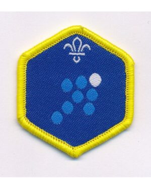 Team Leader - Cubs challenge award