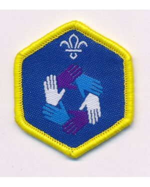 Teamwork - Cubs challenge award