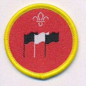 International - Cubs activity badge