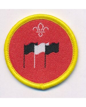 International - Cubs activity badge
