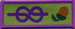 YL Adult Recognition