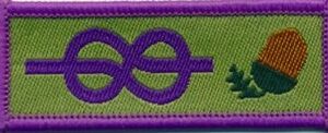 YL Adult Recognition