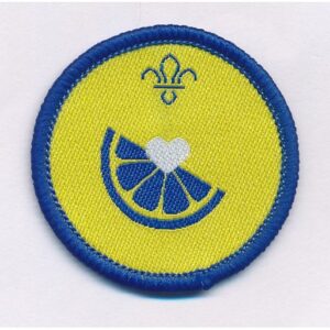 Health & Fitness - Beavers activity badge
