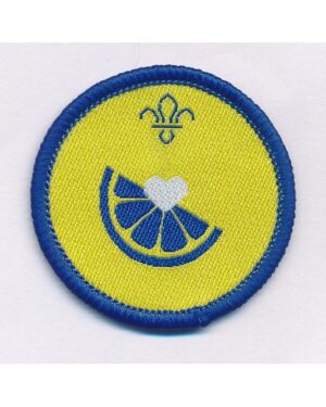 Health & Fitness - Beavers activity badge