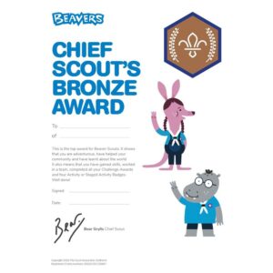 Certificate Chief Scout's Bronze Award (Pack of 10)