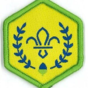 Chief Scout's Acorn Award