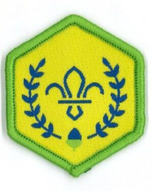 Chief Scout's Acorn Award