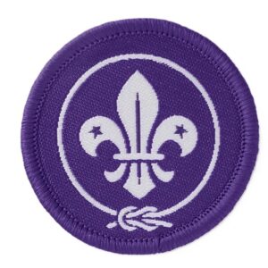 All Sections badges