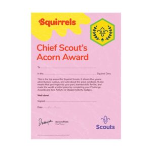 Certificate Chief Scout's Acorn Award (Pack of 10)