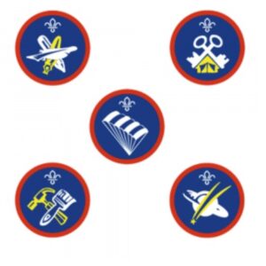 Scout badges