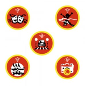 Cub badges